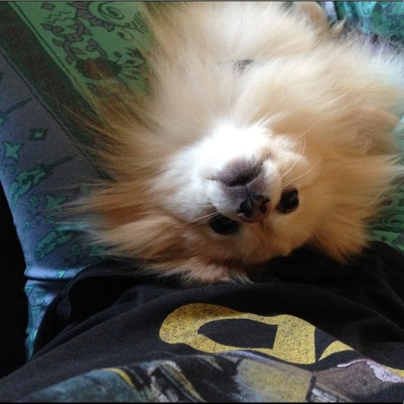 • Welcome! • - Picture 3 of 7